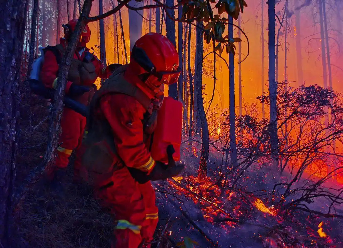 Forrest Firefighting Forest Fire Fighting Pump: A Key Tool in Wildfire Control | Fanyue